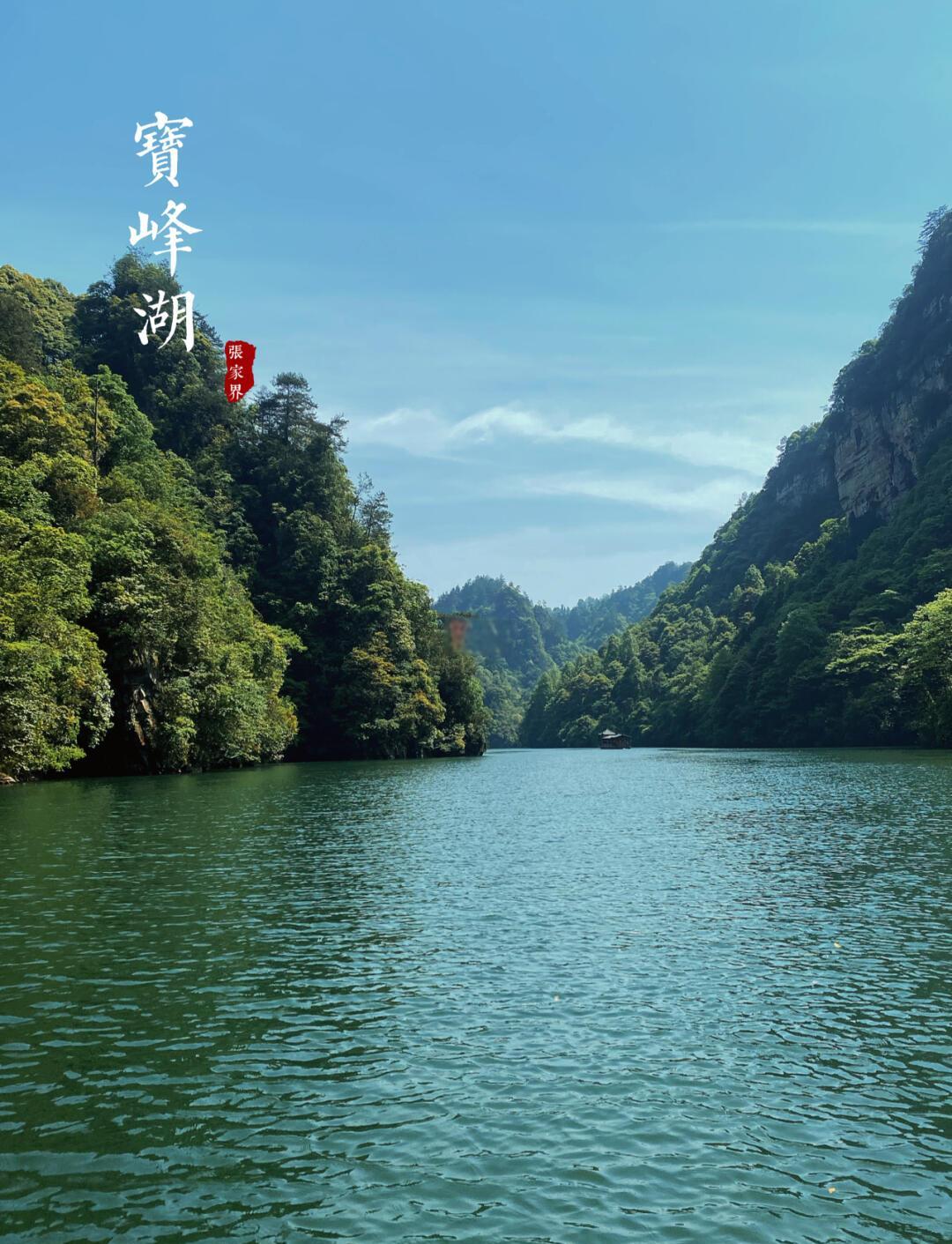 3日森林公园深度游