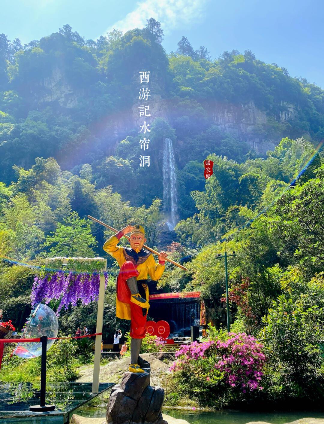 3日森林公园深度游