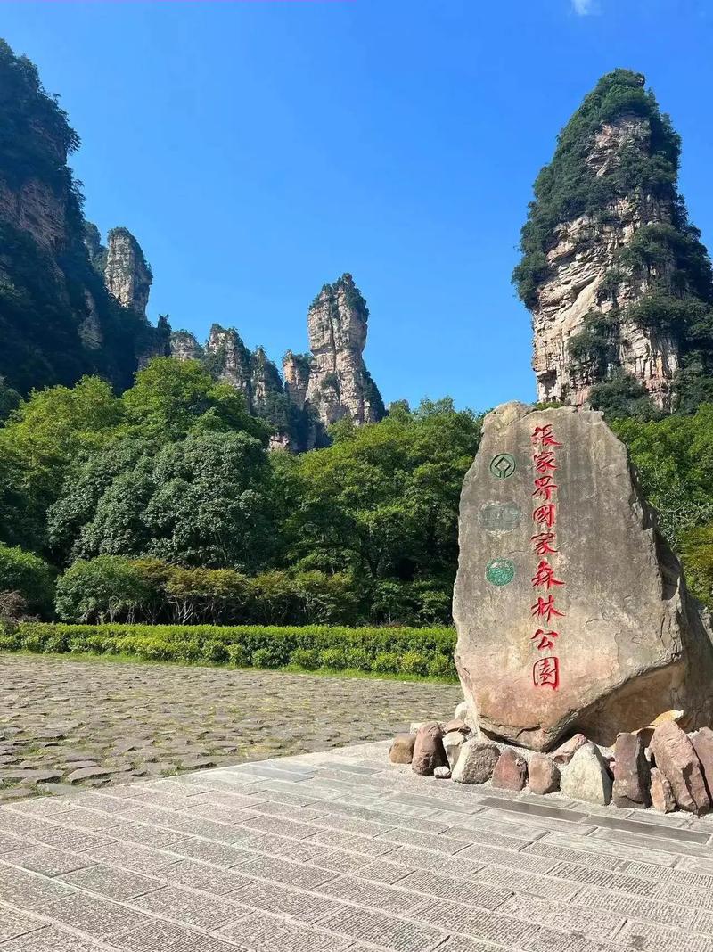 四口亲子家庭4日纯玩小包案例